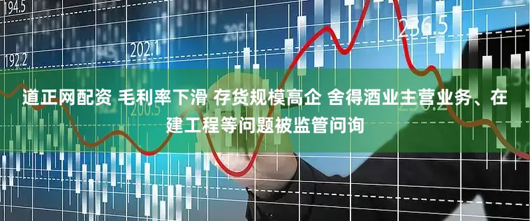 道正网配资 毛利率下滑 存货规模高企 舍得酒业主营业务、在建工程等问题被监管问询