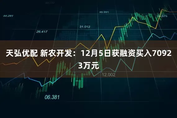 天弘优配 新农开发：12月5日获融资买入70923万元
